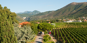 ÐÐ¿ÐµÑ€Ð¸Ñ‚Ð¸Ð² Â«Ð‘Ð»Ð¸Ñ‚Ñ†Â»